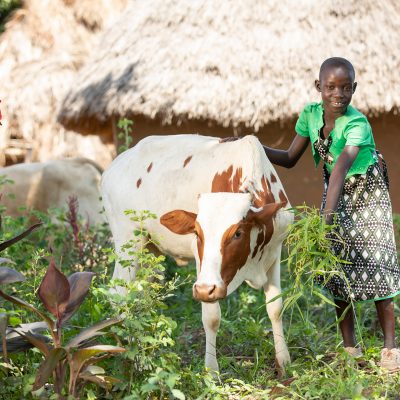 Ten year old girl with cow in Uganda