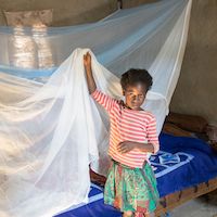 Donate mosquito nets