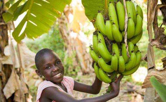 What is World Food Day?