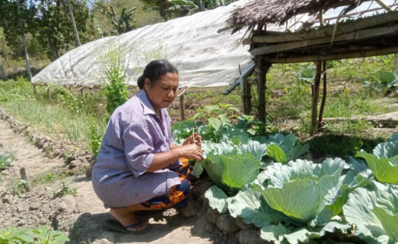Women are planting seeds for change in Timor-Leste